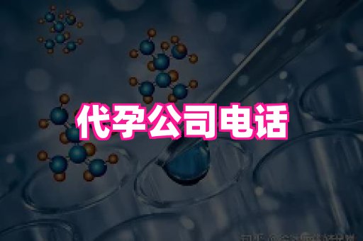 海口助孕网站 1