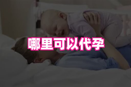 海口助孕网站 2