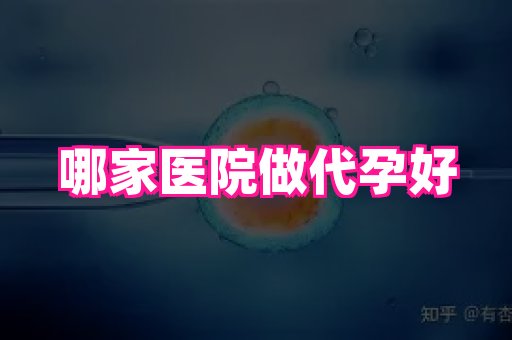 海口助孕网站 3